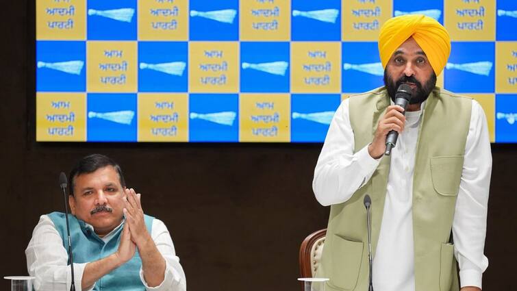 Punjab CM Bhagwant Mann, AAP MP Sanjay Singh To Meet Kejriwal In Tihar On Wednesday