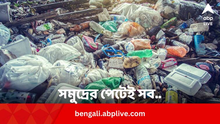 Study Finds 11 Million Tonne Plastic At Ocean Floor In Bengali Science News: সমুদ্রগর্ভে জমছে লাখ লাখ টন প্লাস্টিক, কোন বিপদের আশঙ্কা ?