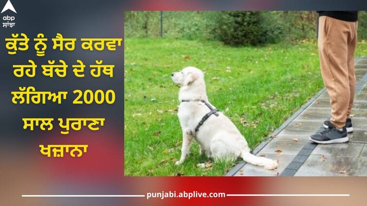 12 Year Old Boy out to walk the dog found a 2000 year old treasure, the mysterious history revealed 2000 Year Old Treasure: ਕੁੱਤੇ ਨੂੰ ਸੈਰ ਕਰਵਾ ਰਹੇ ਬੱਚੇ ਦੇ ਹੱਥ ਲੱਗਿਆ 2000 ਸਾਲ ਪੁਰਾਣਾ ਖਜ਼ਾਨਾ, ਰਹੱਸਮਈ ਇਤਿਹਾਸ ਤੋਂ ਉੱਠਿਆ ਪਰਦਾ, ਜਾਣੋ ਪੂਰਾ ਮਾਮਲਾ