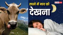 Deam Interpretation: सपने में गाय को देखना क्या होता है शुभ?, जानें इसका अर्थ