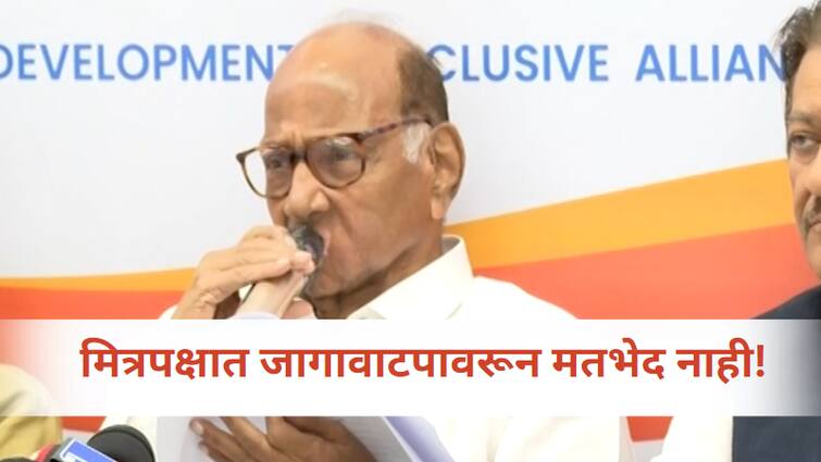 NCP sharad Pawar Statement  NO Any dissonance in  MVA press conference live Maharashtra seat sharing formula maharashtra lok sabha election 2024 Sharad Pawar : महाविकास आघाडीतील मित्रपक्षात जागावाटपावरून कोणतेही मतभेद नाही : शरद पवार