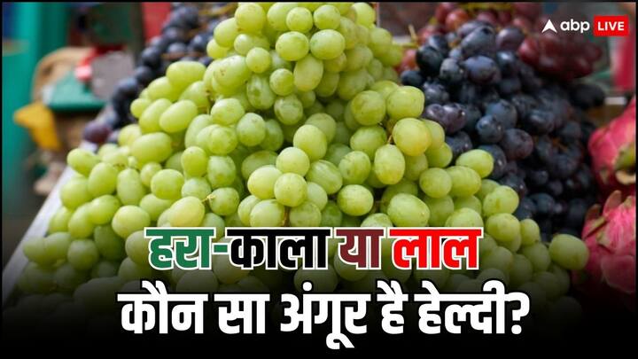 Which are better for health green grapes or black grapes Health Benefits of Grapes: हरा, लाल या काला अंगूर... कौन सा वाला ज्यादा काम का है?