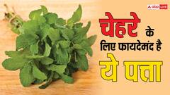 पुदीने की पत्ती से चेहरे के पिंपल्स और दाग होंगे दूर, इस तरीके से करें इसका इस्तेमाल