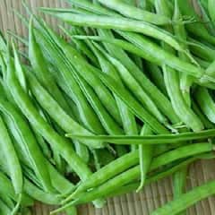 Cluster Beans : ਕੀ ਤੁਸੀਂ ਵੀ ਗੁਆਰ ਫਲੀ ਦਾ ਨਾਂ ਸੁਣਦੇ ਹੀ ਬਣਾ ਲੈਂਦੇ ਹੋ ਮੂੰਹ ਤਾਂ ਜਾਣ ਲਓ ਇਸਤੋਂ ਹੋਣ ਵਾਲੇ ਫਾਇਦੇ