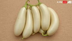 सफेद बैंगन आपको बना सकता है मालामाल, एक एकड़ में ही बन जाएंगे लखपति