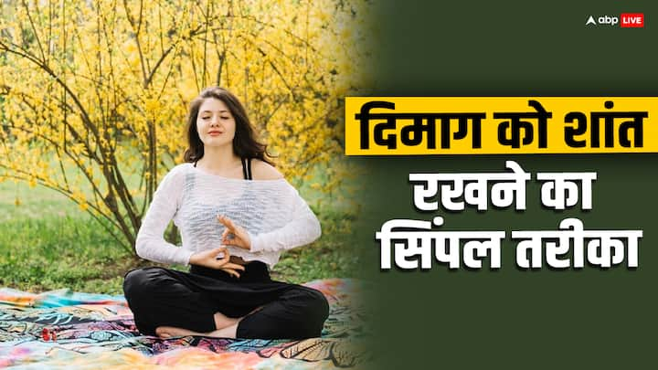 Relax Mind : आजकल की लाइफस्टाइल और वर्क प्रेशर के बीच दिमाग को तनावमुक्त और शांत रखना काफी अहम माना जाता है. इससे आपकी प्रोडक्टिविटी बढ़ती है और ब्रेन जबरदस्त तरीके से काम करता है.