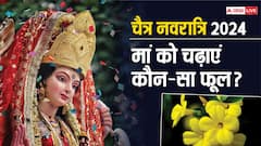 Chaitra Navratri 2024: नवरात्रि में हर सुबह देवी मां को जरूर चढ़ाएं उनके प्रिय फूल, दिन के अनुसार जानें