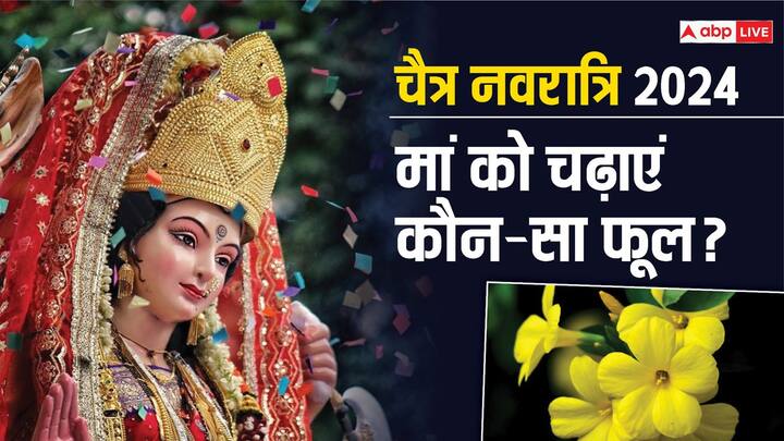 Chaitra Navratri: चैत्र नवरात्रि की शुरूआत हो चुकी है. नौ दिनों में मां दुर्गा के स्वरुपों को चढ़ाएं ये खास फूल. जानें दिन के अनुसार किस देवी को कौन-सा फूल चढ़ाएं.