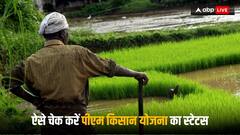 PM Kisan Yojana: पीएम किसान योजना का लाभ मिलेगा या नहीं, एक मिनट में ऐसे पता करें अपना स्टेटस