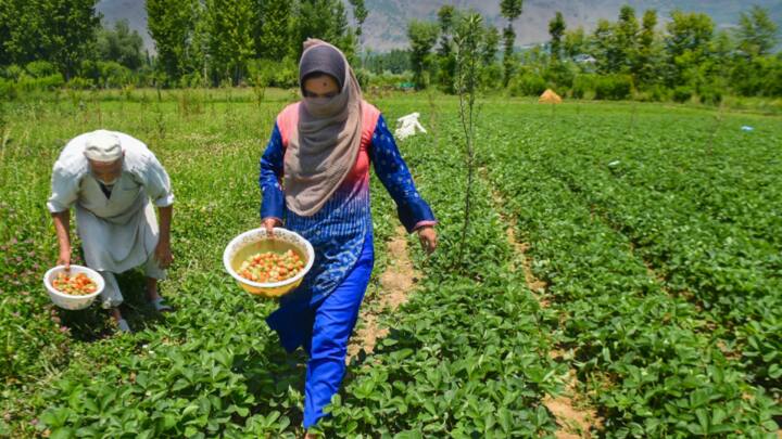 इसके बाद आपको अपने राज्य, जिला और तहसील का ब्योरा देना होगा. इसके बाद आपके सामने गेट रिपोर्ट का ऑप्शन आ जाएगा, जिससे लाभार्थी लिस्ट में अपना नाम चेक कर सकते हैं.