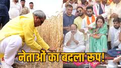 Lok Sabha Election 2024: ओपी राजभर ने काटे गेहूं, कैलाश विजयवर्गीय ने बनाई चाय, चुनावी सीजन का अजब-गजब प्रचार