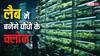 अब क्लोन बनाकर सहेजे जाएंगे लुप्त हो रहे पौधे, इस वाइल्ड लाइफ सेंक्चुरी में बनाई जा रही टिशू कल्चर लैब