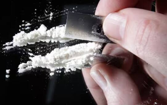 ਹਾਲਾਂਕਿ, ਇਸ ਨਾਲ ਇਹ ਸਵਾਲ ਵੀ ਖੜ੍ਹਾ ਹੁੰਦਾ ਹੈ ਕਿ ਜੇਕਰ ਅਜਿਹਾ ਹੁੰਦਾ ਹੈ, ਤਾਂ ਕੋਕੀਨ ਦੇ ਆਦੀ ਲੋਕ ਓਵਰਡੋਜ਼ ਲੈਣਾ ਸ਼ੁਰੂ ਕਰ ਦੇਣਗੇ ਅਤੇ ਜੇਕਰ ਉਹ ਅਜਿਹਾ ਕਰਦੇ ਹਨ ਤਾਂ ਉਨ੍ਹਾਂ ਦੀ ਮੌਤ ਵੀ ਹੋ ਸਕਦੀ ਹੈ।