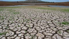 Summer Health Tips: হিট স্টোক এড়াতে কোন কোন খাবার না খেলেই নয় ?