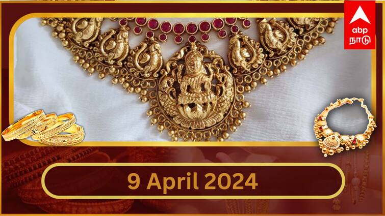 Latest Gold Silver Rate Today april 9 2024 know gold price your city Latest Gold Silver Rate: ராக்கெட் வேகத்தில் உயரும் தங்கம் விலை.. சவரனுக்கு ரூ.80 அதிகரிப்பு.. இன்றைய நிலவரம்..