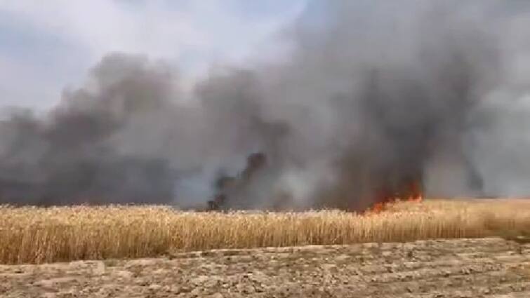 Gorakhpur 10 acres wheat crop burnt to fire after hearing news MP Ravikishan reached field immediately ann Gorakhpur Fire News: आग लगने से 10 एकड़ गेहूं की फसल जलकर हुई राख, खबर सुनते ही सीधे खेत में पहुंचे सांसद रविकिशन