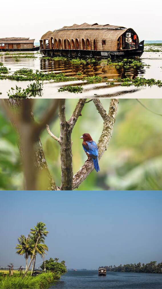 ஆலப்புழாவில் பார்க்க வேண்டிய சுற்றுலா தலங்கள்!