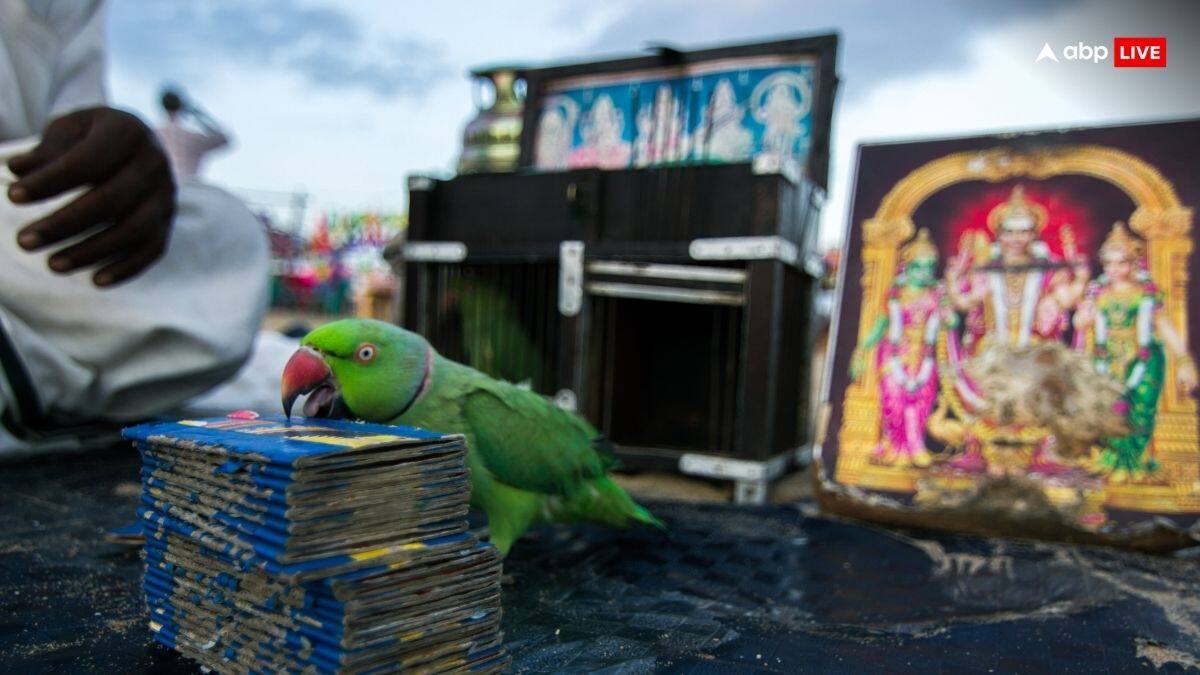 Lok Sabha Election 2024: लोकसभा चुनाव 2024 में किसकी होगी जीत? तोते ने कर दी भविष्यवाणी, मालिक को उठा ले गई पुलिस