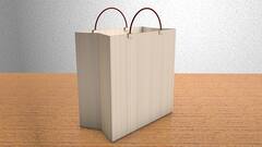 Carry Bag Charge: शॉपिंग के बाद आप भी पैसे देकर खरीदते हैं कैरी बैग? पहले जान लें ये नियम