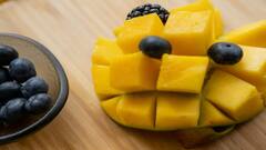 ભારતમાં આ રાજ્યમાં દુનિયાની સૌથી મોંઘી કેરીનું થાય છે ઉત્પાદન, જાણો એક કિલોનો કેટલો છે ભાવ?