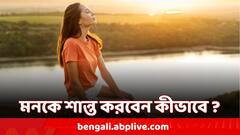 Relax Mind: ব্যস্ত সময়ে শান্ত করতে চান মন ? কী করবেন ? মস্তিষ্কও হবে তীক্ষ্ণ