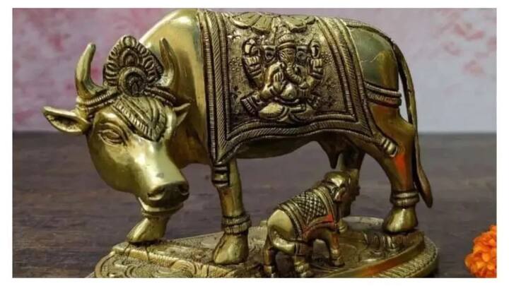 Vastu Tips for wealth keep these idols in the home according to vastu shashtra in marathi Vastu Tips : वास्तुशास्त्रानुसार 'ही' मूर्ती घरात ठेवा; आरोग्य राहील ठणठणीत, पैशांचीही होईल बरकत
