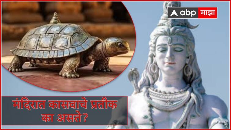 why there is turtle at the temple know the imprtance and reason behind it marathi news Turtle at Temple : मंदिरात प्रवेशद्वाराबाहेर कासव का असतो? भगवद्गीतेत सांगितलंय खरं कारण...