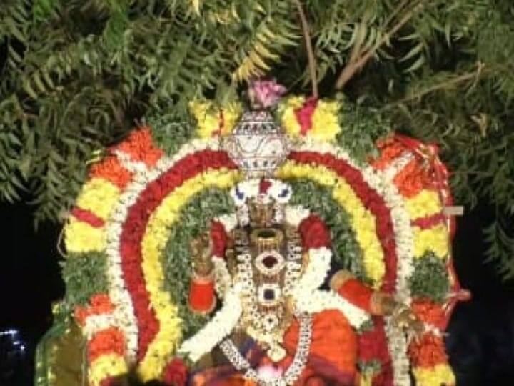 Karur Sri Muthumariamman Temple Swami Vempuratha Vahanam Triveethi Ula - TNN ஸ்ரீ முத்துமாரியம்மன் ஆலயத்தில் சுவாமி வேம்புரத வாகனத்தில் திருவீதி உலா
