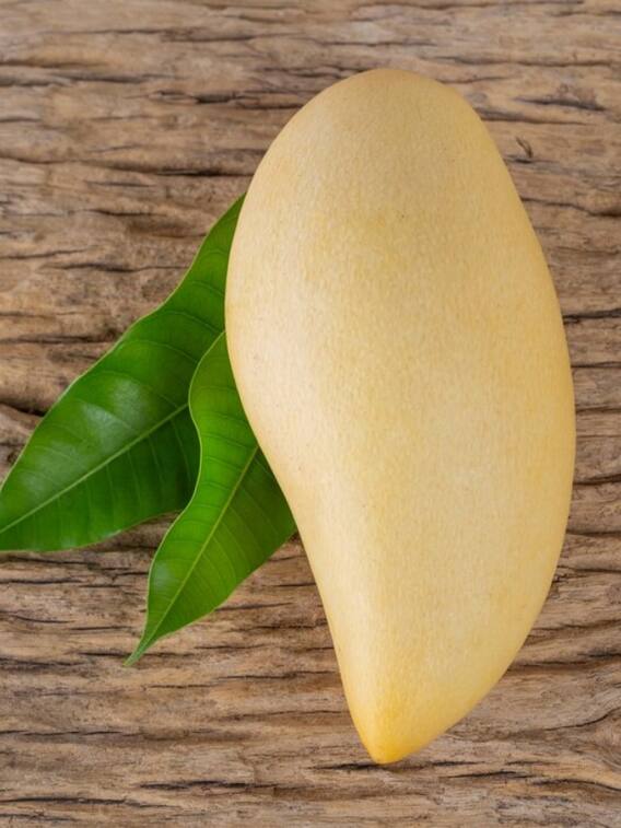 आज पौधा उगाएं तो कितने दिन बाद उगेंगे आम