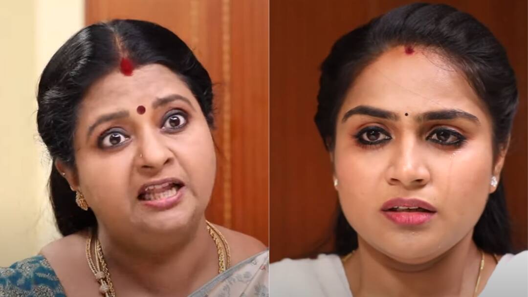 Siragadikka Aasai Serial:அப்பா வராதது குறித்து ரோகிணியை விளாசிய விஜயா -சிறகடிக்க ஆசை சீரியலில் இன்று !