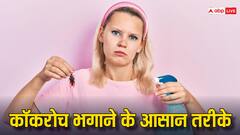 सिर्फ दो मिनट में रसोई से सारे कॉकरोच ऐसे करें साफ, वह भी बिना मेहनत