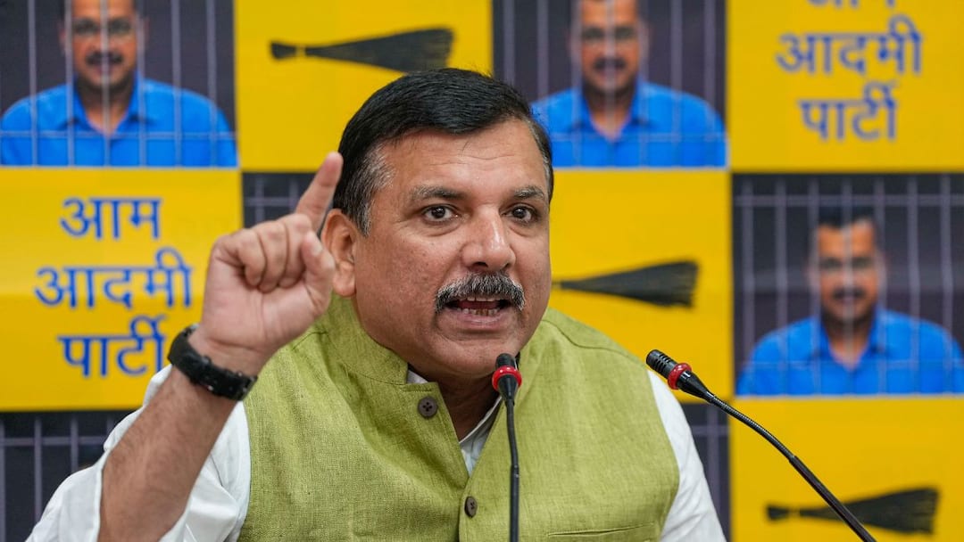 AAP MLA Sanjay Singh Slams PM Modi Government Authoritarian Tactics Against Arrested Delhi CM Kejriwal Tihar Jail Meeting With Kejriwal Cancelled, AAP's Sanjay Singh Says 'Jail Authorities Under Pressure'