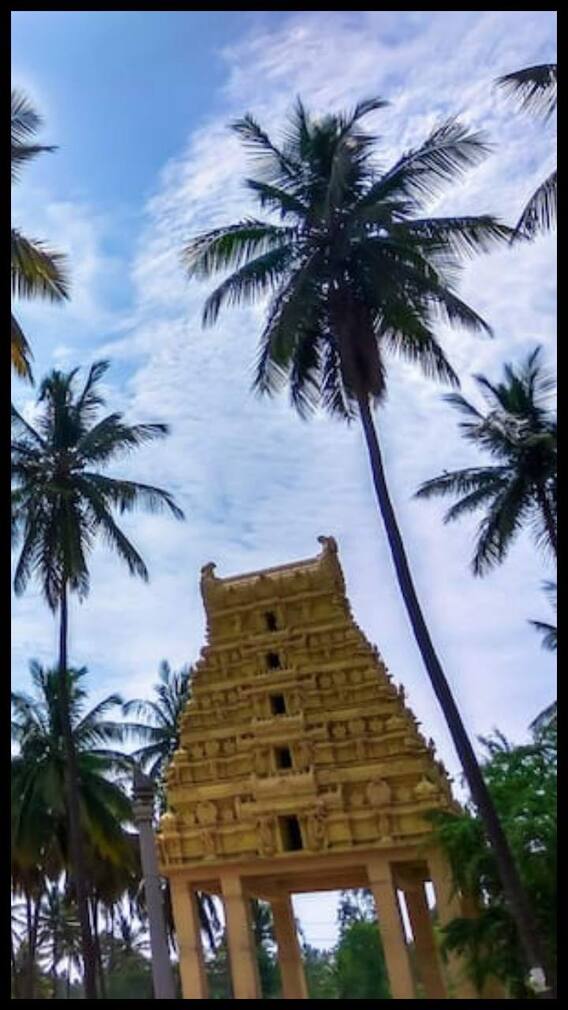 శారీరక, మానసిక రుగ్మతలు తొలగించే శ్లోకం ఇది!