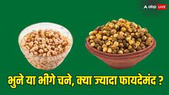 Health: रग रग में भर जाएगी एनर्जी... जब खाएंगे चने, लेकिन भीगे या भुने क्या ज्यादा फायदेमंद ? यहां जानें