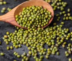 Green pulses Benefits: ਪ੍ਰੋਟੀਨ ਦੇ ਲਈ ਇਹ ਦਾਲ ਵਰਦਾਨ, ਜਾਣੋ ਸੇਵਨ ਕਰਨ ਦਾ ਸਹੀ ਢੰਗ ਤੇ ਫਾਇਦੇ