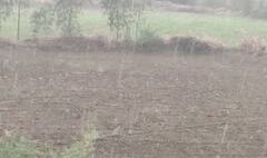 Gujarat Rain: દાહોદ, બનાસકાંઠા, છોટાઉદેપુર,અરવલ્લી અને સાબરકાંઠામાં વરસાદ, ક્યાંક કરા તો ક્યાંક છાપરા ઉડ્યા