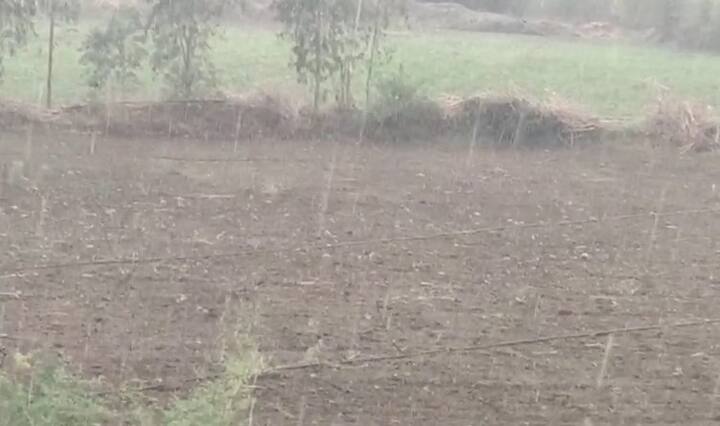 ગાંધીનગર: હવામાન વિભાગની આગાહી વચ્ચે રાજ્યના અનેક જિલ્લામાં કમોસમી વરસાદ વરસ્યો છે. અનેક જિલ્લાઓમાં કરા સાથે કમોસમી વરસાદ વરસ્યો છે. રાજ્યના દાહોદ, બનાસકાંઠા, છોટાઉદેપુર, અરવલ્લી અને સાબરકાંઠા જિલ્લામાં વરસાદ વરસ્યો છે.