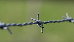 Andhra Pradesh: 13 Children Injured After Chariot Gets Electrocuted During Ugadi Utsavam Celebrations