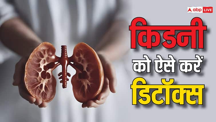 doing a natural kidney cleanse at home Chaitra Navratri 2024: व्रत में किडनी को डिटॉक्स करने का यह है आसान तरीका, शरीर की इन बीमारियों से मिल जाएगा छुटकारा