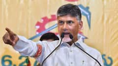 Lok Sabha Polls: Chandrababu Naidu's TDP To Not Contest In Telangana