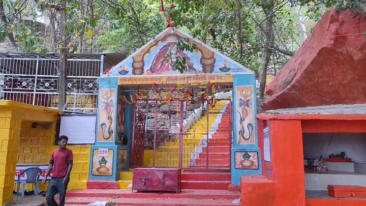 छत्तीसगढ़ का सूरजपुर जिला चारों तरफ से पहाड़ों और वनों की हरियाली से घिरा हुआ है. यहां प्राकृतिक सौंदर्य के साथ कई प्राचीन धार्मिक स्थल भी मौजूद हैं. जिनकी अलग-अलग कहानी और रोचक मान्यताएं हैं. इन्हीं जगहों में से एक कुदरगढ़ देवी धाम भी है. यहां एक हजार फीट से ज्यादा ऊंची पहाड़ी पर मां बागेश्वरी विराजमान है.