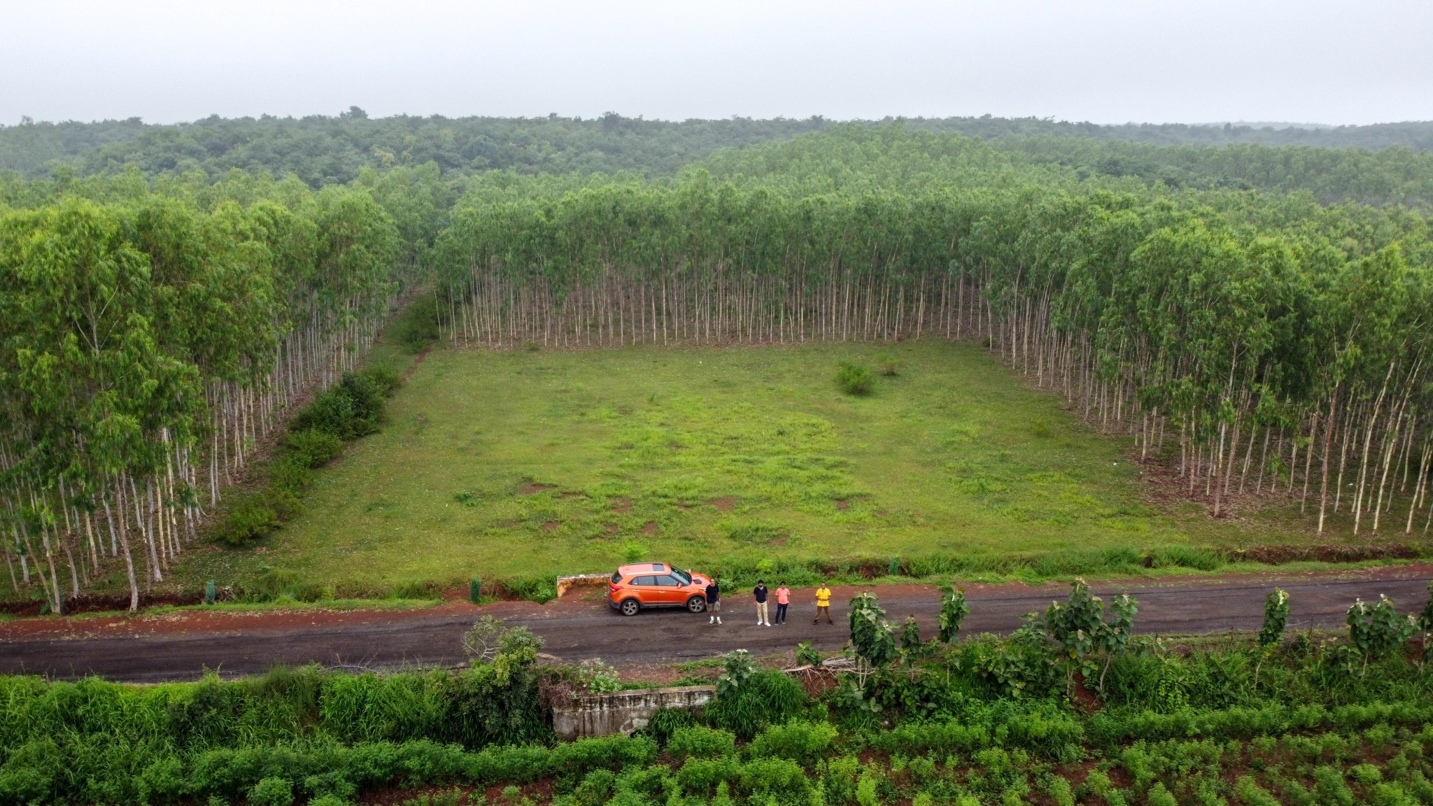 Telangana Ooty: ఆ ప్రకృతి అందాలు వర్ణించలేం - తెలంగాణ సరిహద్దులో ఊటీని చూసొద్దామా!