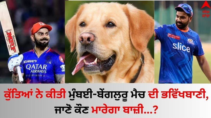 IPL-2024-How-dogs-predicted-mumbai-indians-vs-royal-challengers-bengaluru-match-ipl-2024-watch-video-here MI vs RCB: ਕੁੱਤਿਆਂ ਨੇ ਕੀਤੀ ਮੁੰਬਈ-ਬੇਂਗਲੁਰੂ ਮੈਚ ਦੀ ਭਵਿੱਖਬਾਣੀ, ਜਾਣੋ ਕੌਣ ਮਾਰੇਗਾ ਬਾਜ਼ੀ