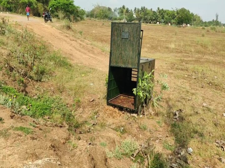 Mayiladuthurai leopard: 10-வது  நாளாக சிக்காத சிறுத்தை: மீண்டும் மயிலாடுதுறையில் நடமாட்டமா? தொடரும் தேடுதல் வேட்டை