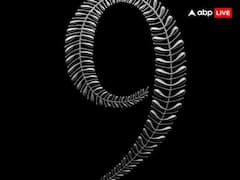 Ank Jyotish: चैत्र नवरात्रि पर इस मूलांक का खुल सकता है भाग्य, मां दुर्गा बरसाएगी असीम कृपा