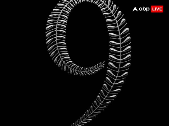 9 मूलांक वालों के नवरात्रि बहुत शुभ रहने वाला है. इस साल नवरात्रि की शुरूआत दिनांक 9 अप्रैल से हुई है. 9 अंक देवी मां का अंक है. इस अंक को बेहद शुभ माना जाता है.