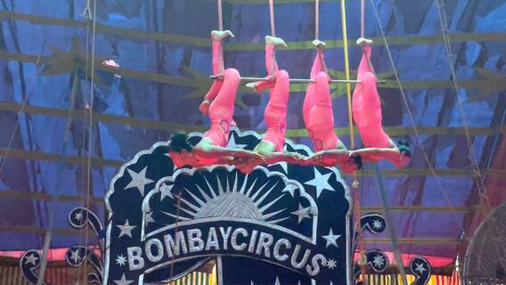 Bombay Circus in Hyderabad | 30 ఏళ్ల తరువాత వచ్చినా.. బాంబే సర్కస్ ను ఆదరించని హైదరాబాద్ | ABP Desam