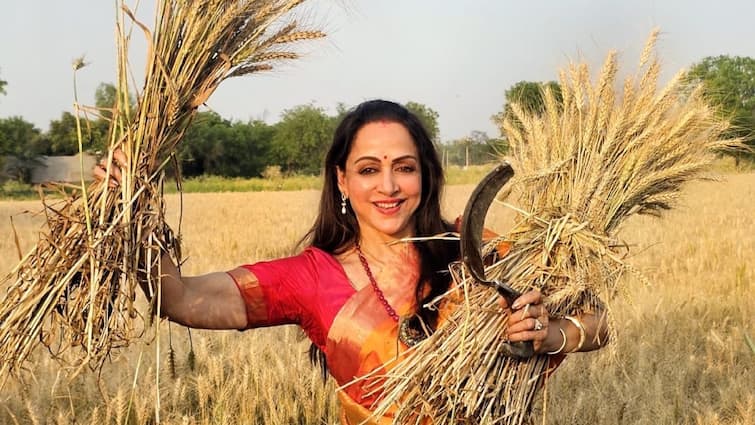 Mathura Lok Sabha Seat Hema Malini harvested wheat crop during election campaign video picture viral Lok Sabha Election: तपती दोपहरी में खेत में पहुंची हेमा मालिनी, कांजीवरम साड़ी पहन काटी गेहूं की फसल, तस्वीरें वायरल