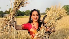 तपती दोपहरी में खेत में पहुंची हेमा मालिनी, कांजीवरम साड़ी पहन काटी गेहूं की फसल, तस्वीरें वायरल