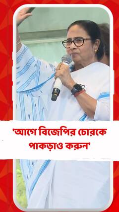 'আগে বিজেপির চোরকে পাকড়াও করুন', মোদিকে তোপ মমতার